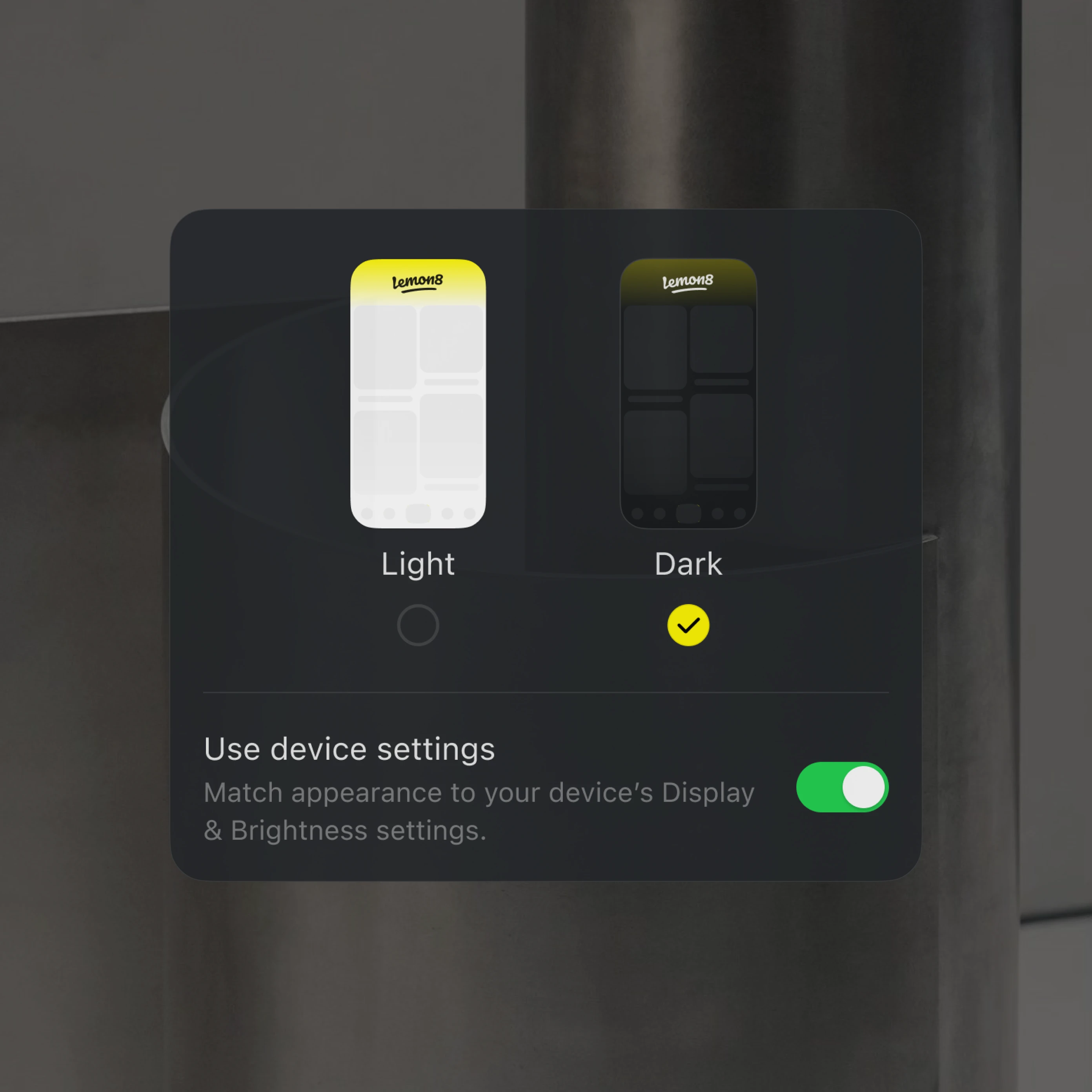 Lemon8 settings dark mode controls